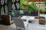 2'x4' FERN in Natural Black (4-Pack)