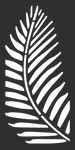 2'x4' FERN in Natural Black (4-Pack)