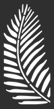2'x4' FERN in Natural Black (4-Pack)